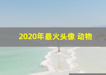 2020年最火头像 动物